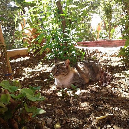 Auberge Le Jardin De La Source Ait Ben Ali ภายนอก รูปภาพ